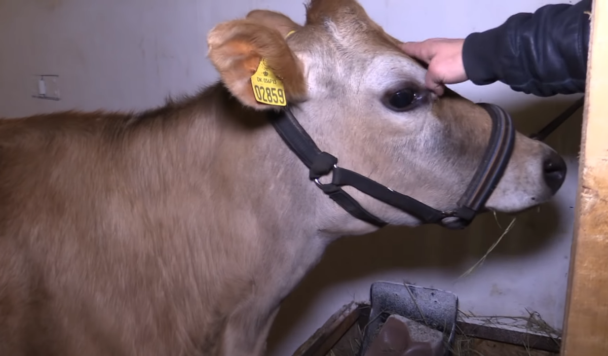 фото Fermer.ru ©