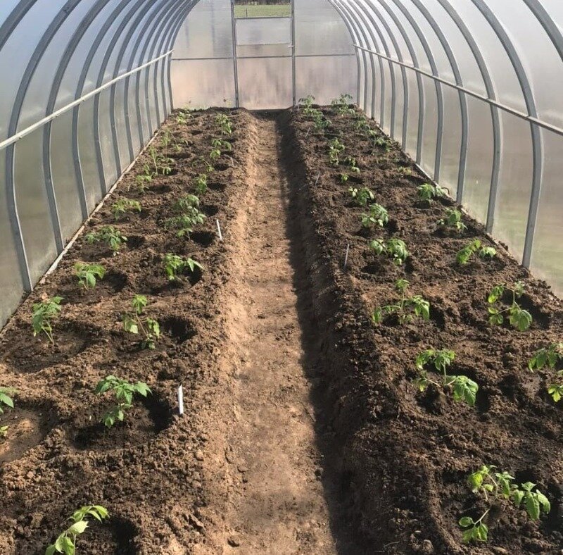 Фото https://www.instagram.com/p/CNHeC0jHh9r/