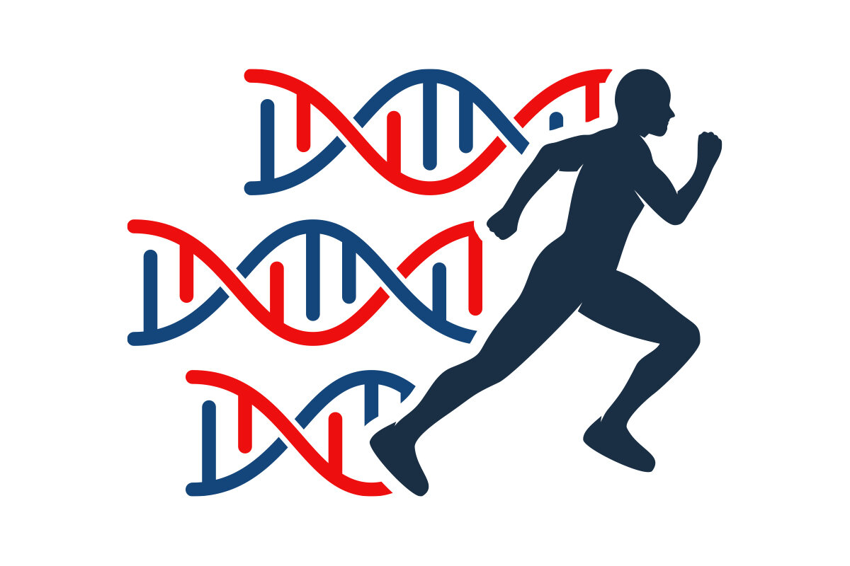 Генетика спорта презентация