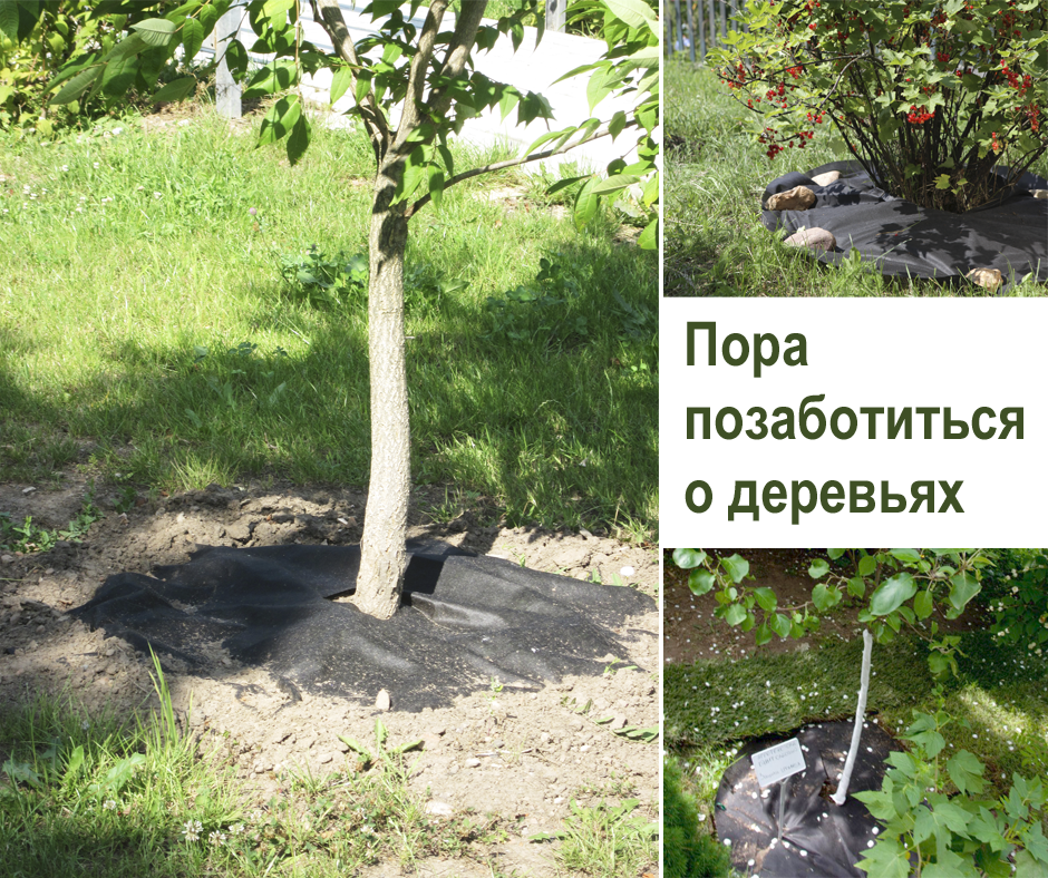 коллаж из фотографий, взятых из рабочего архива ТМ "Агротекс"