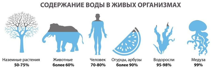 Вода и организмы.