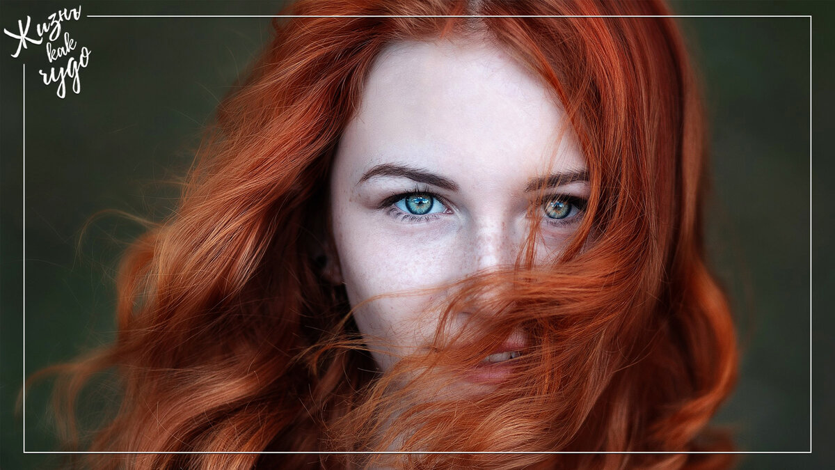 Источник фото: goodfon.ru