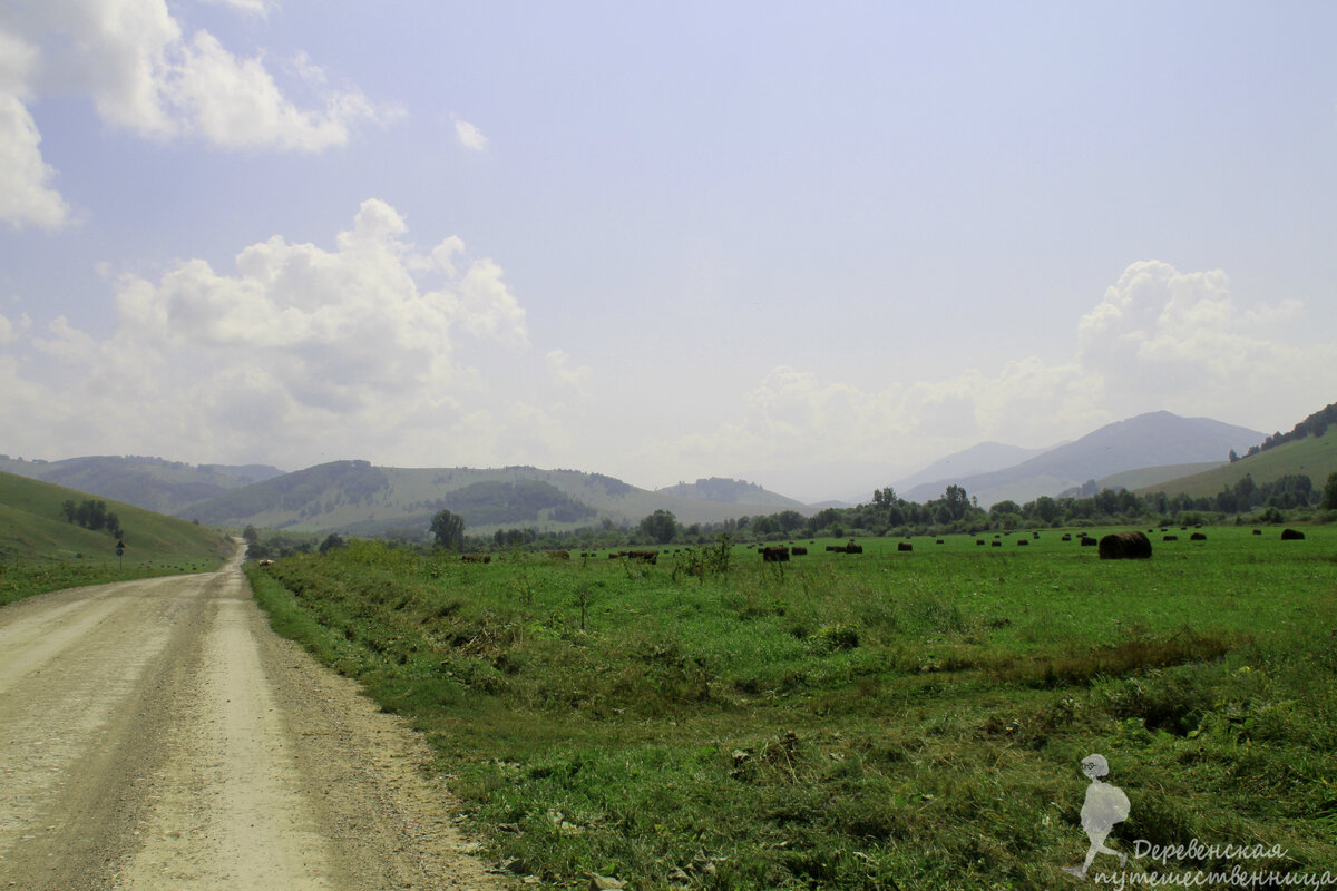Солонешенский район Алтайского края. Уже не холмы - горы. Фото автора.