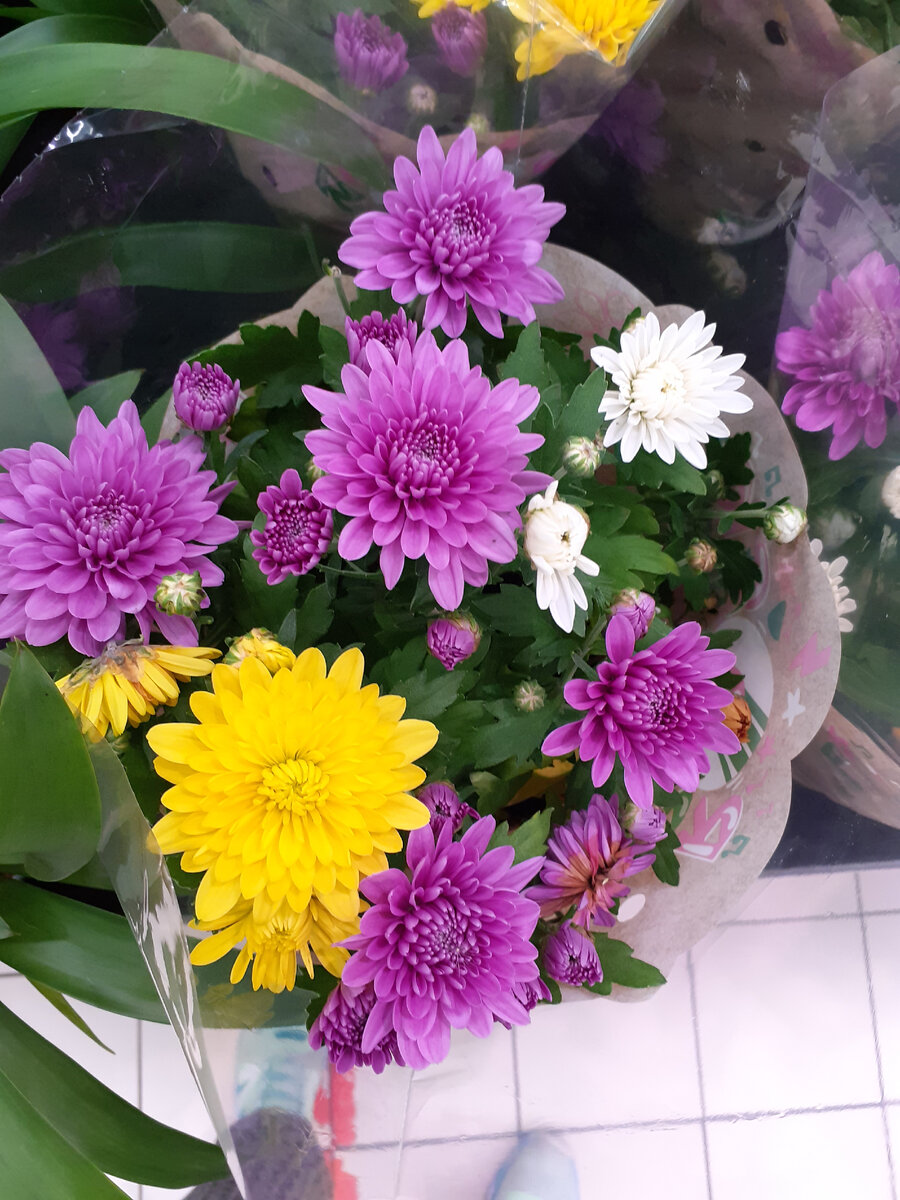 Хризантемы и герберы