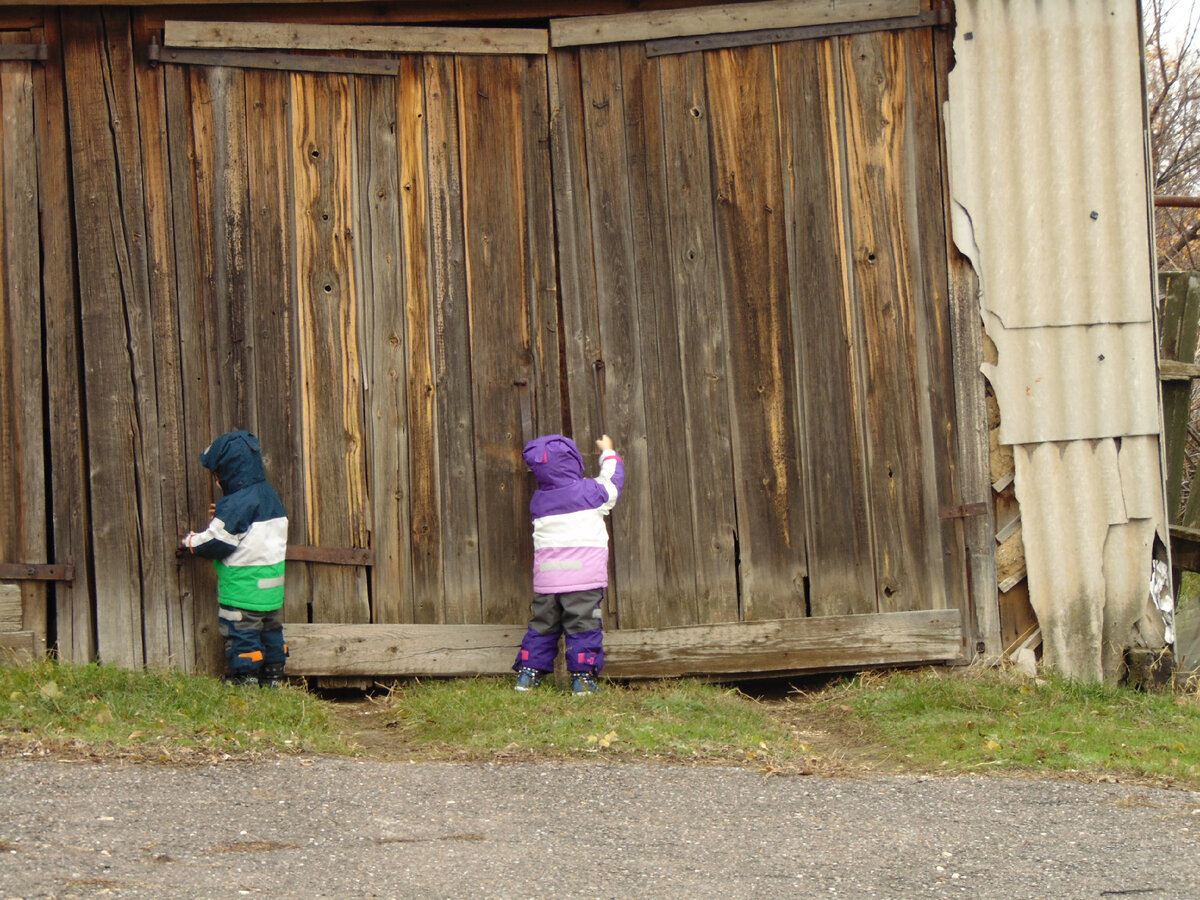 Ну, это мы так думали. 