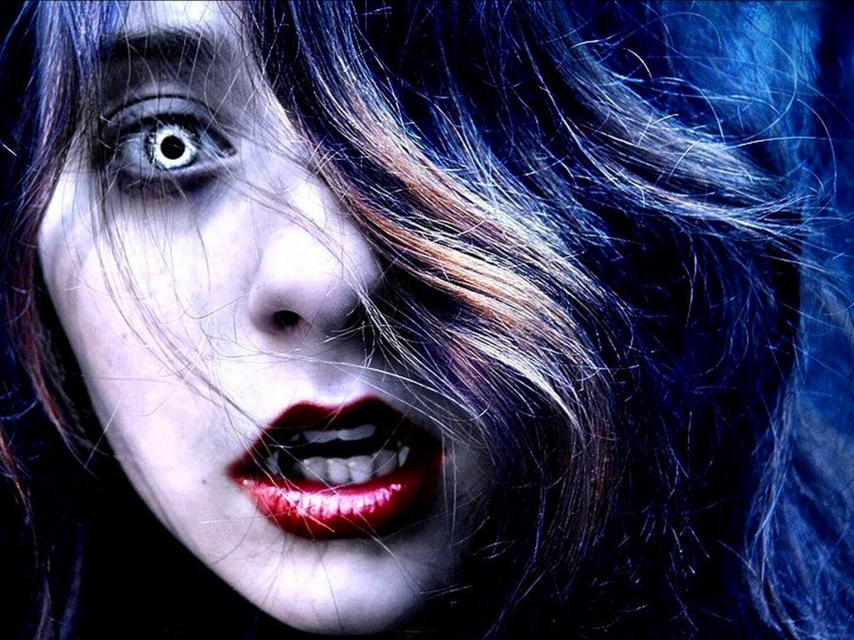 Яндекс картинки