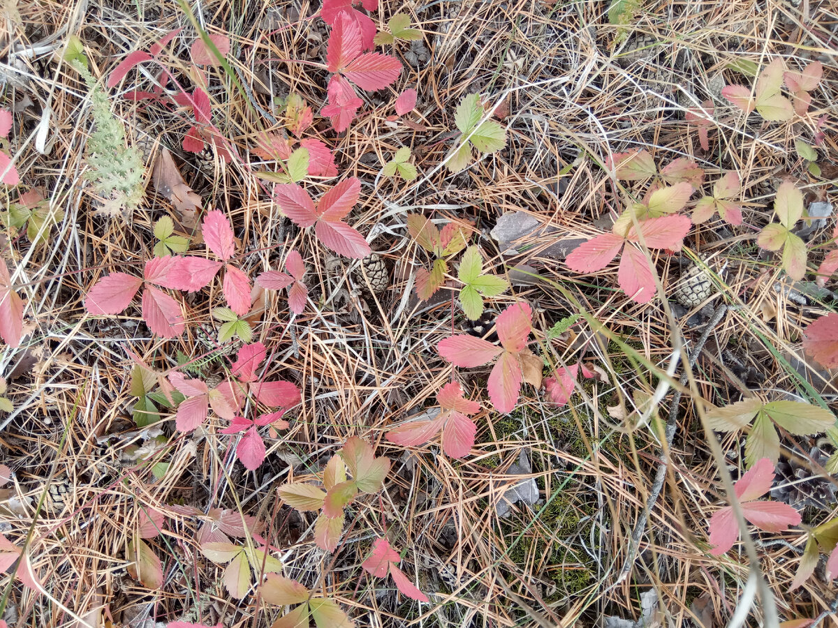 Личное фото автора