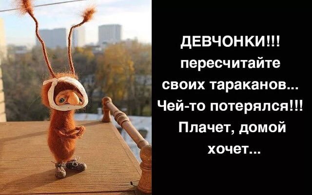 Яндекс картинки