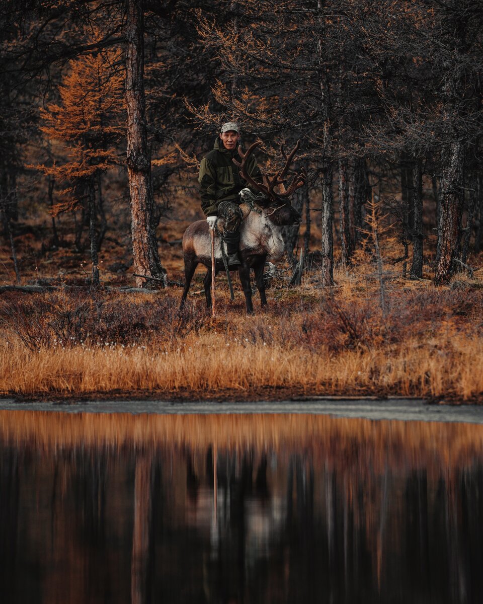 Алексей верхом на олене. 