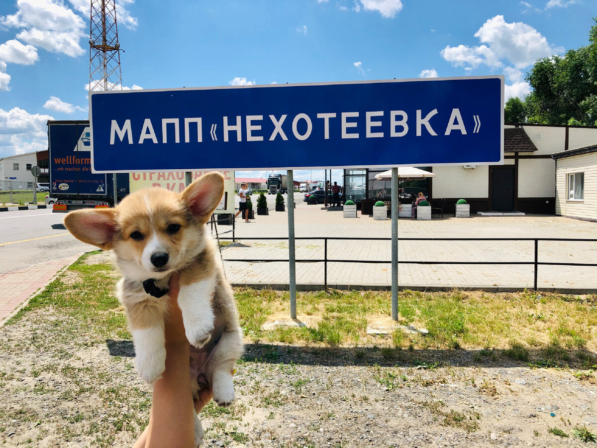 Таможня Россия-Украина