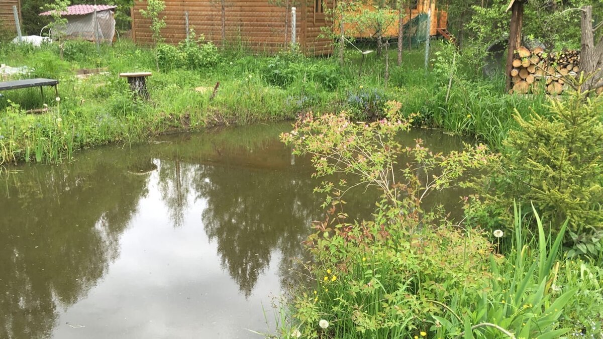 По весне и осени лужа всегда наполнялась