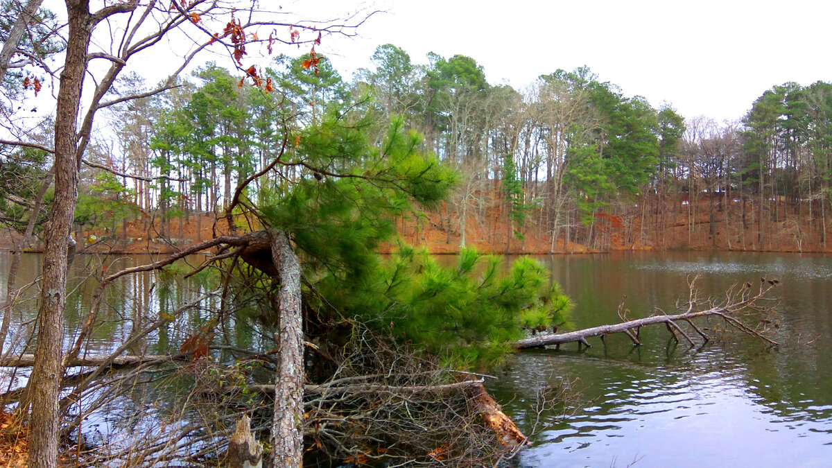 Это у нас в городе парк занимает полквартала. А в США - может несколько десятков километров. Фото автора