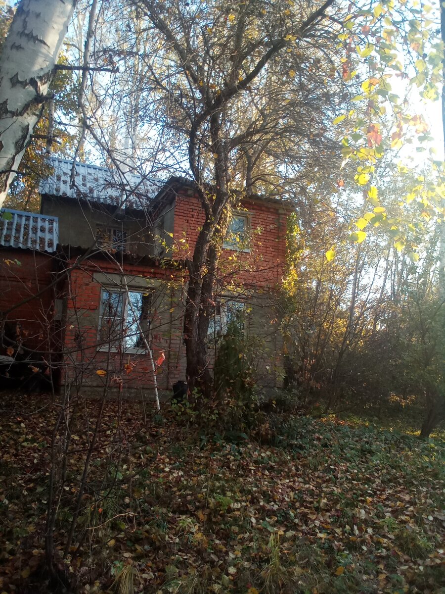 Мой дом, когда я начал расшивать кладку