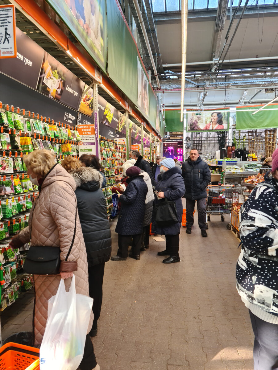 Сезонный товар семена