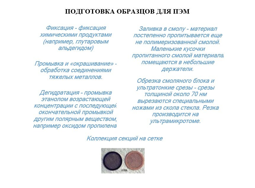 Этапы подготовки образца для просвечивающей электронной микроскопии