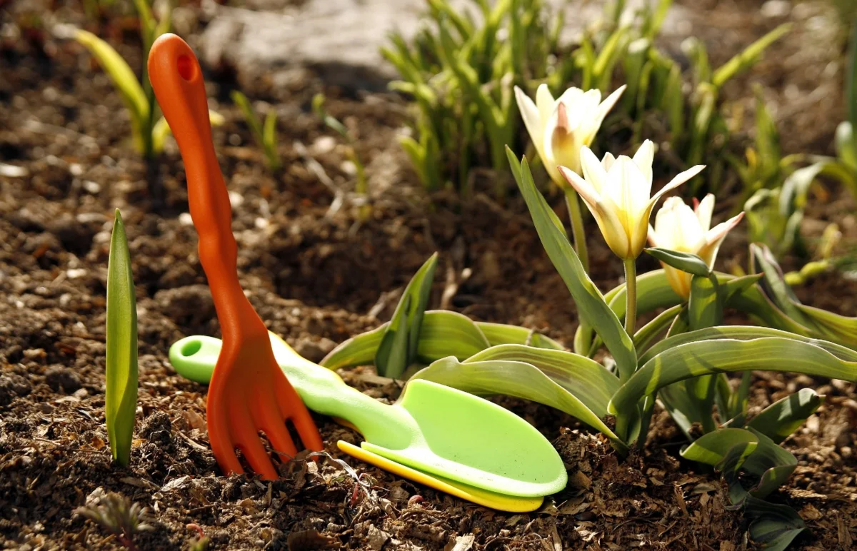 Яндекс.Картинки