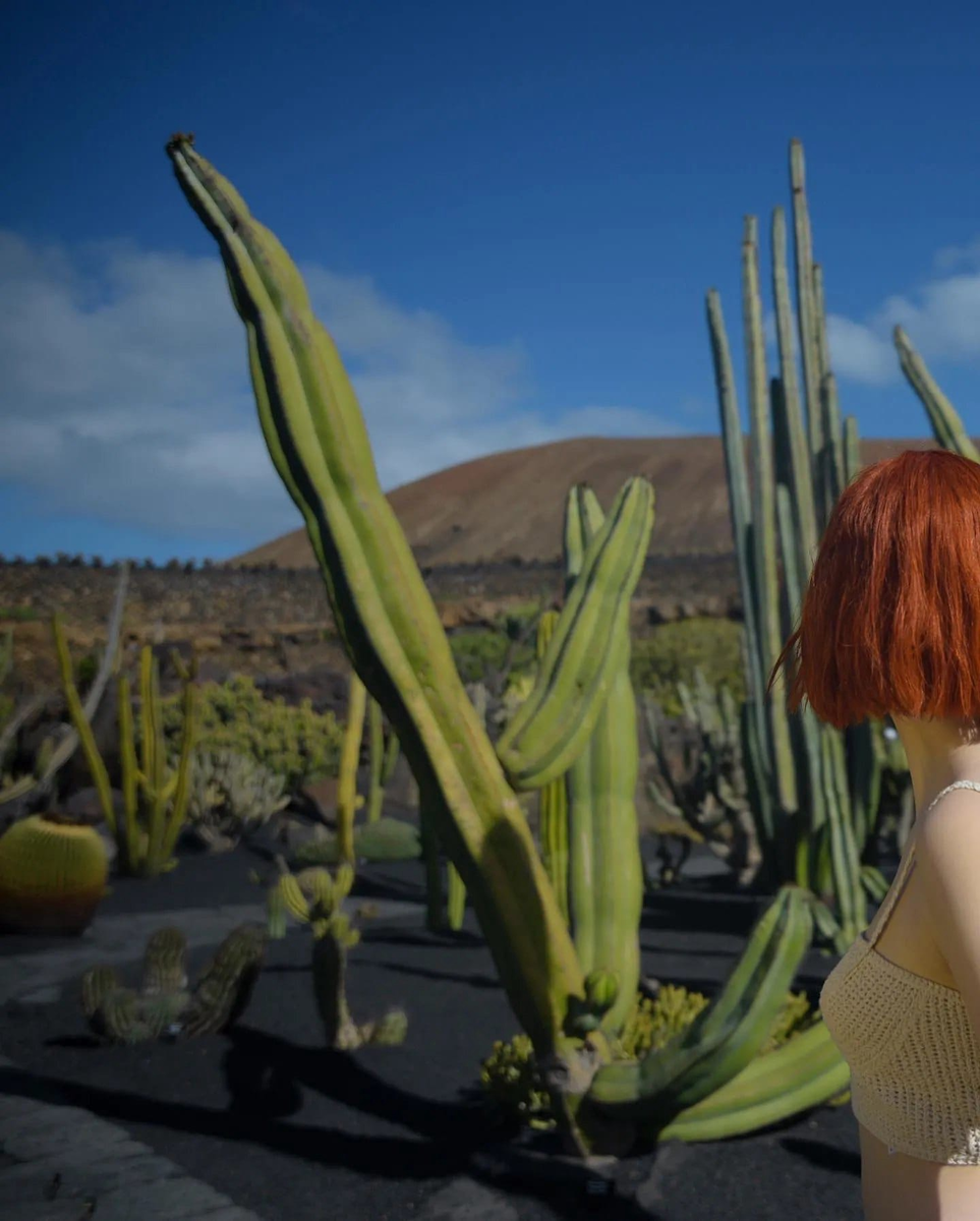 фото Николаса Фолса