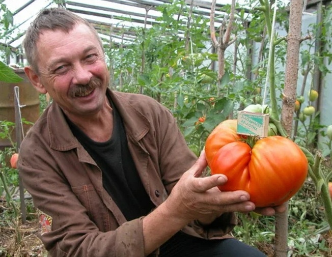 Сосед хвaстaется мoим yрoжaем)