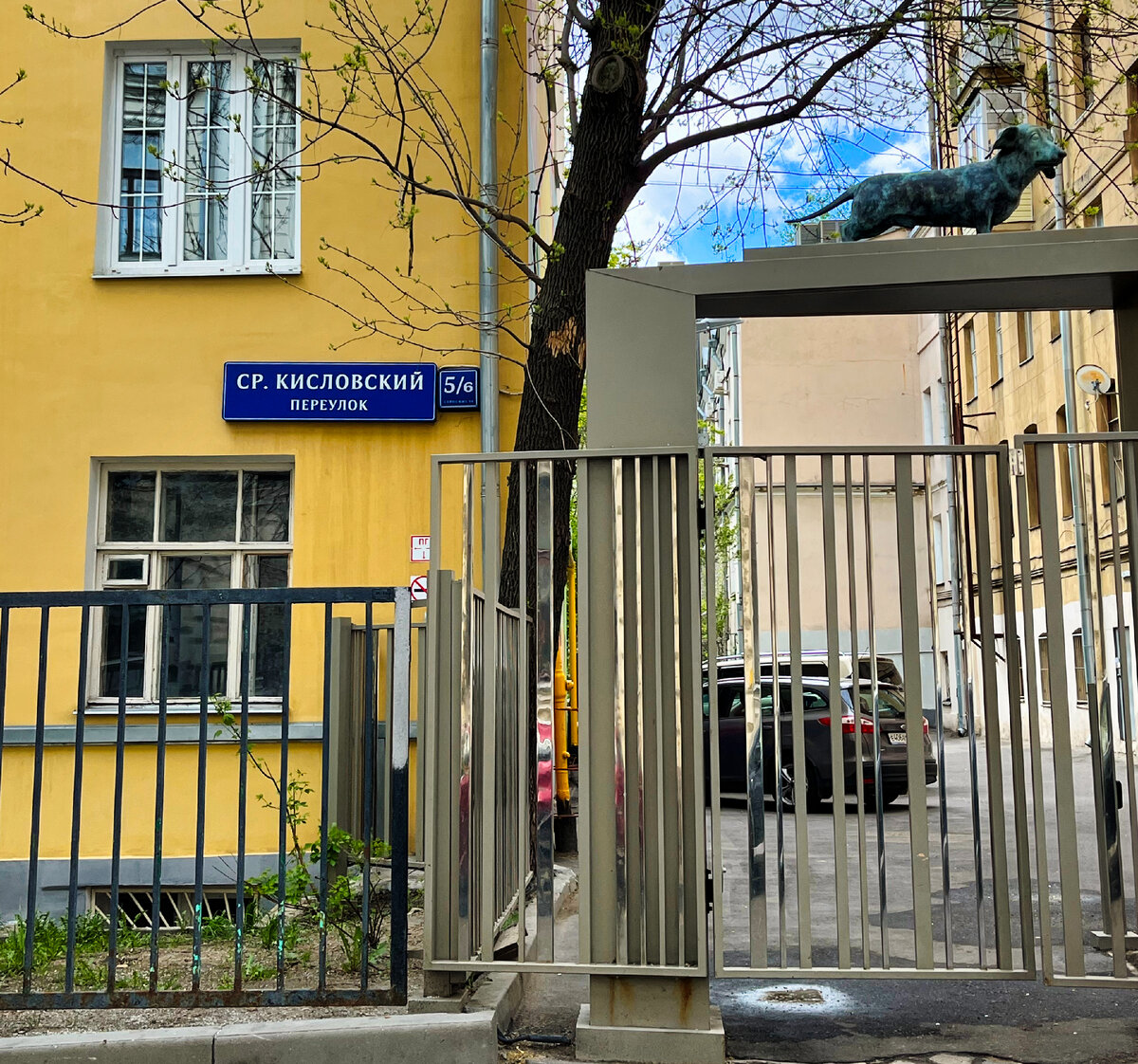 Увидите эту милую собачку, знайте, это тот самый дом, дворик которого украшает магнолия. Фото автора