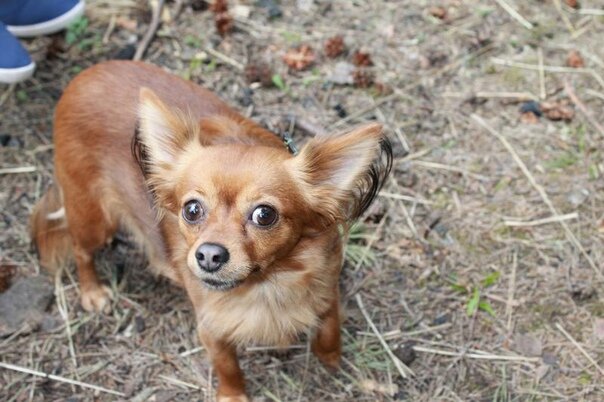 Фото из Интернета. 