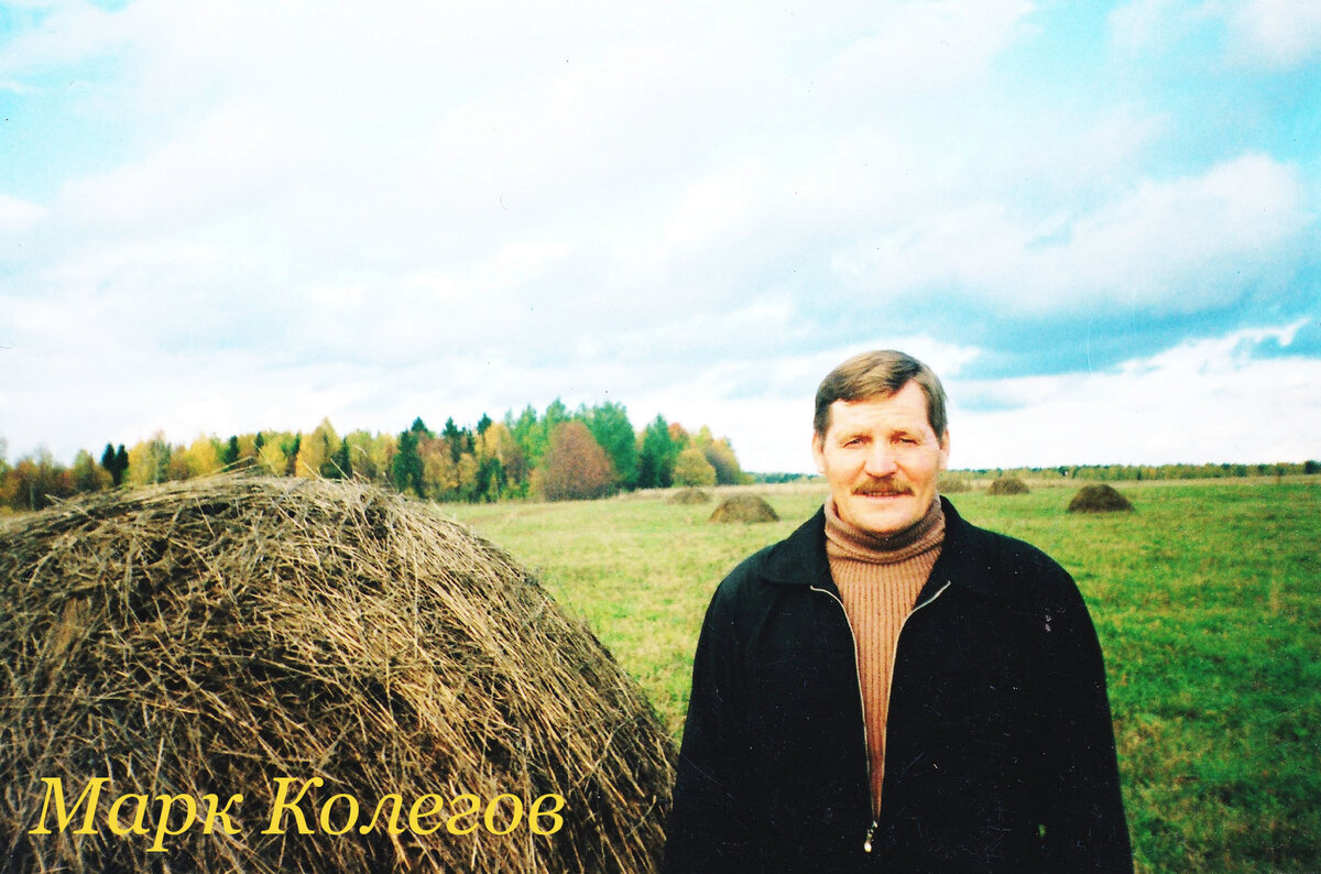 Стихи Марка Колегова