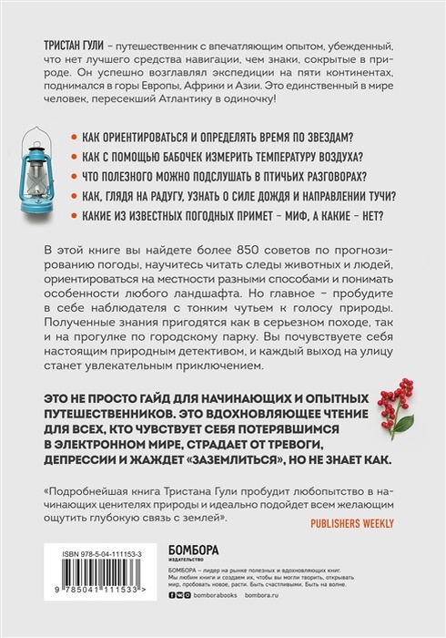 Практичные советы для прогулок по лесу.