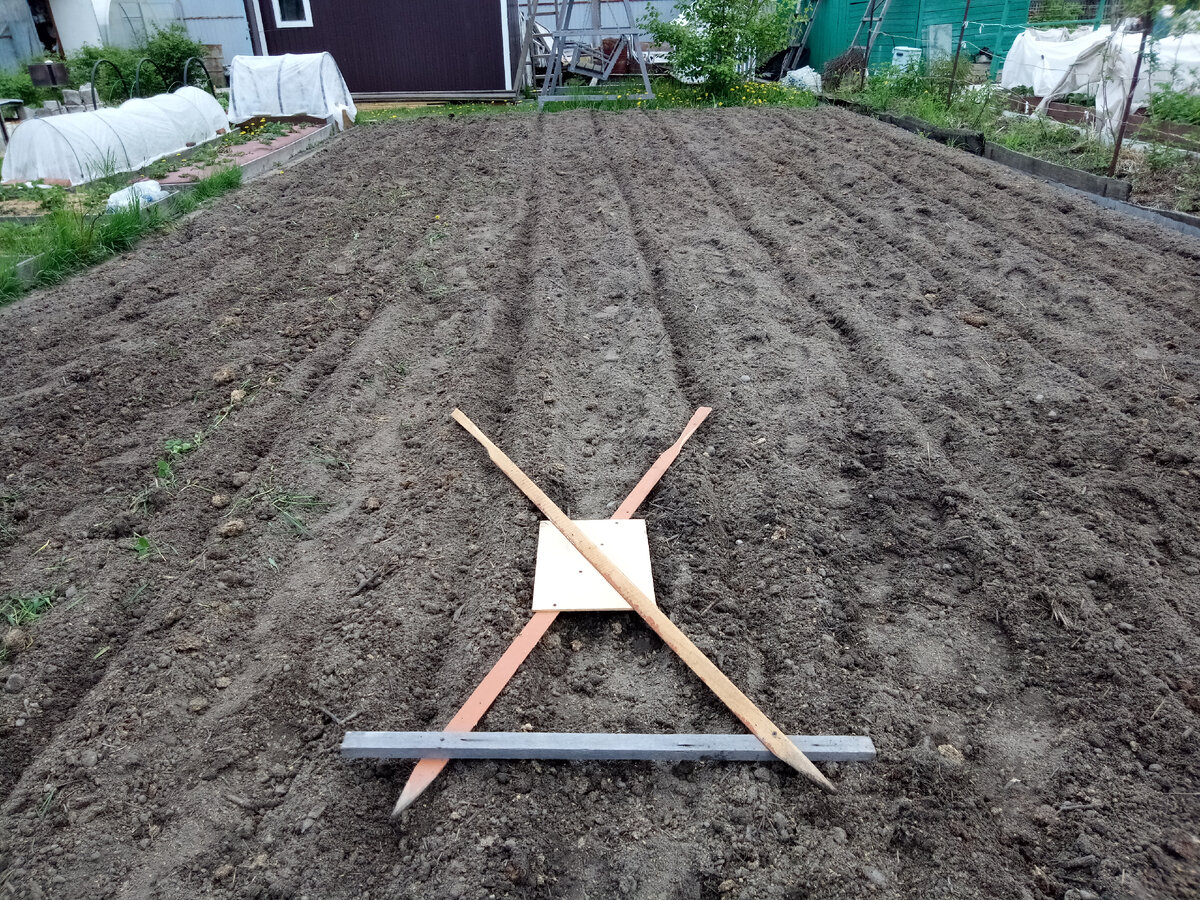 Вот такой самодельный циркуль, я применяю для разметки рядков под картофель. В этом году, уж очень поздно посадили картошку, только - лишь - 28 мая, всё ждали тёплых дней.