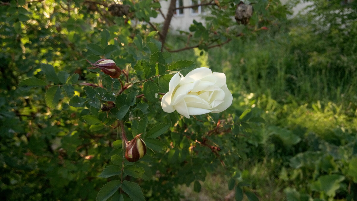 фото автора 