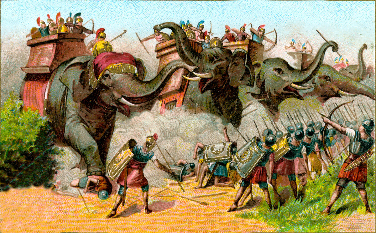 Pyrrhus of Epirus Elephants