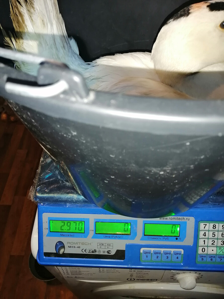 -2