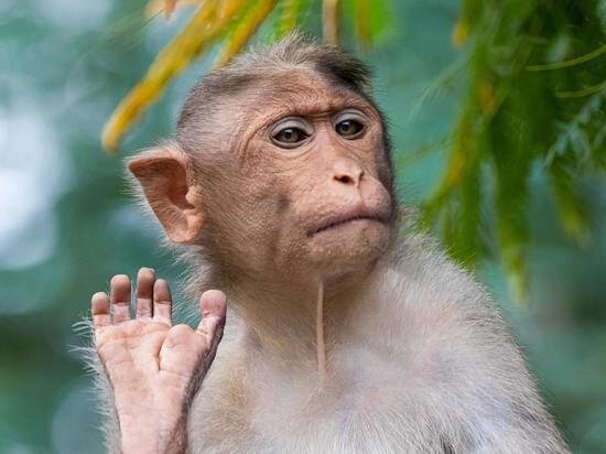     Фото: Syed Ahmad\Unsplash.