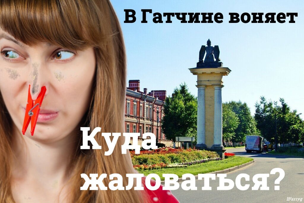 Куда пахнет. Запах в Гатчине. Гатчина вонь. Почему в Гатчине воняет.