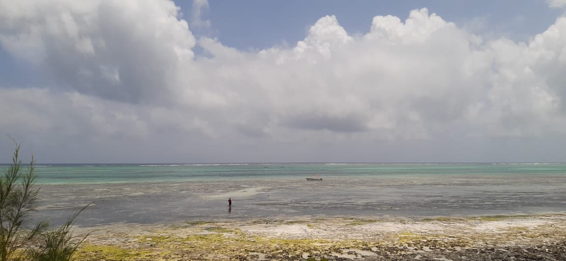 Индийский океан. Отлив. Фото автора.