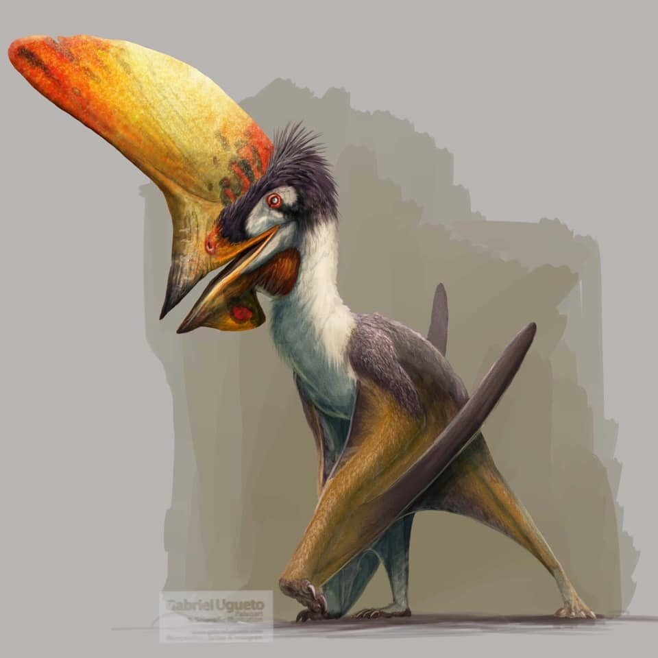 Сам ты гребень!