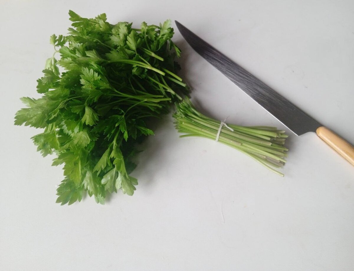 Многие хозяйки ножки зелени выбрасывают. И совершенно напрасно! 