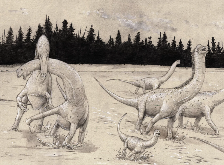 Такие хищные динозавры охотились на больших зауропод. Так что поймать один из самых маленьких видов им было так же легко, как в магазин за хлебушком сгонять. 