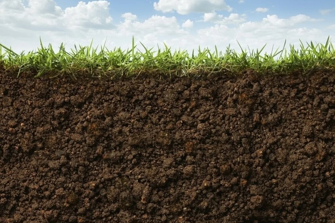 Фото из интернета 