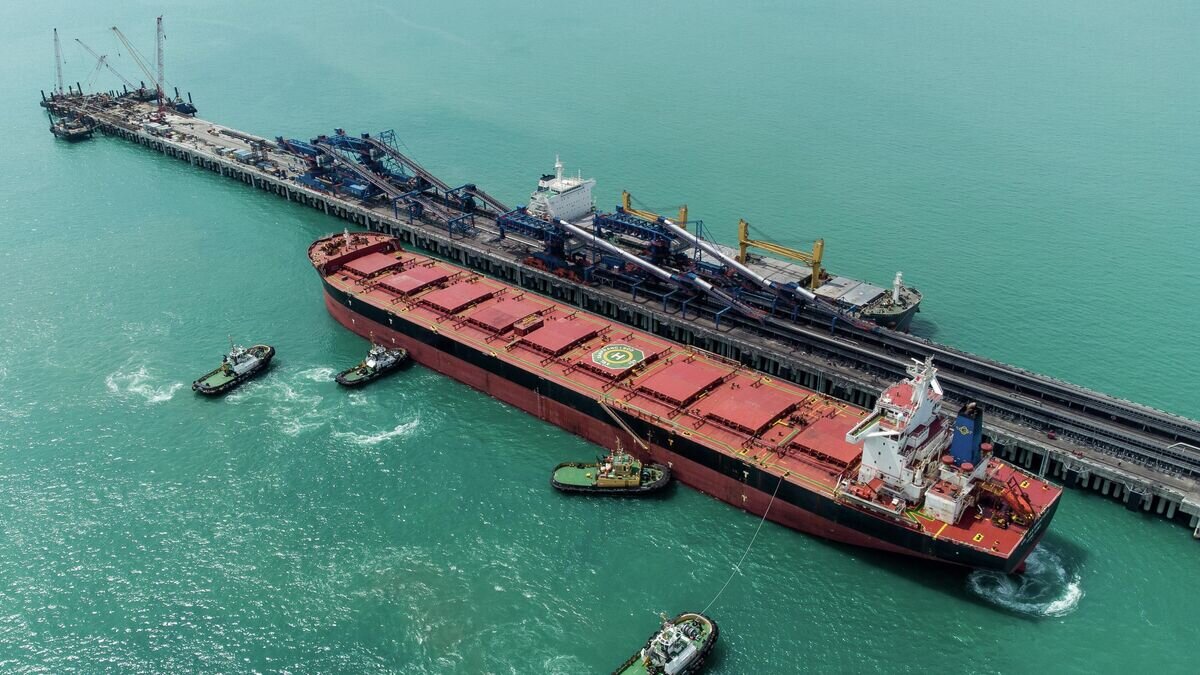    Суда у причалов Таманского терминала навалочных грузов© РИА Новости / Виталий Тимкив