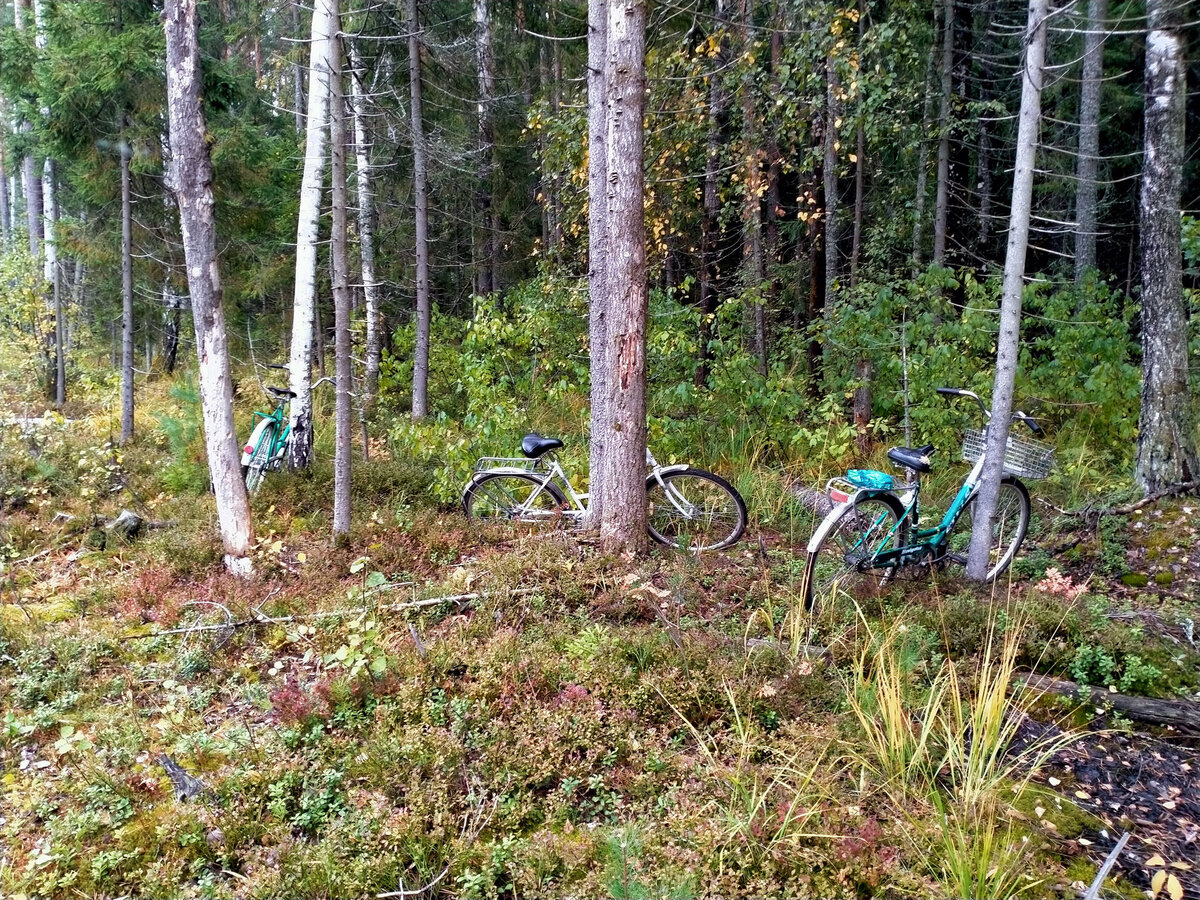 Стоянка велосипедов