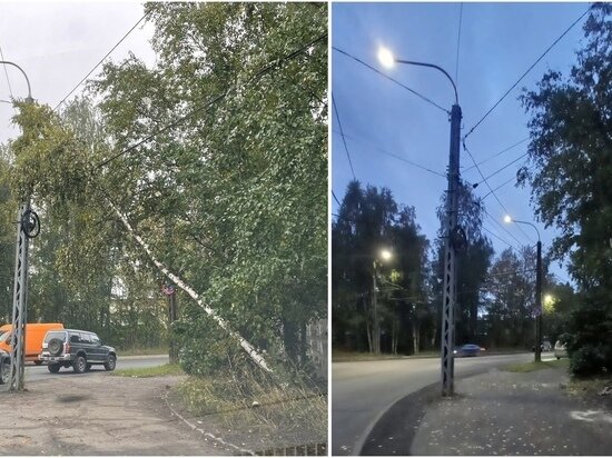     фото: Администрация Петрозаводска