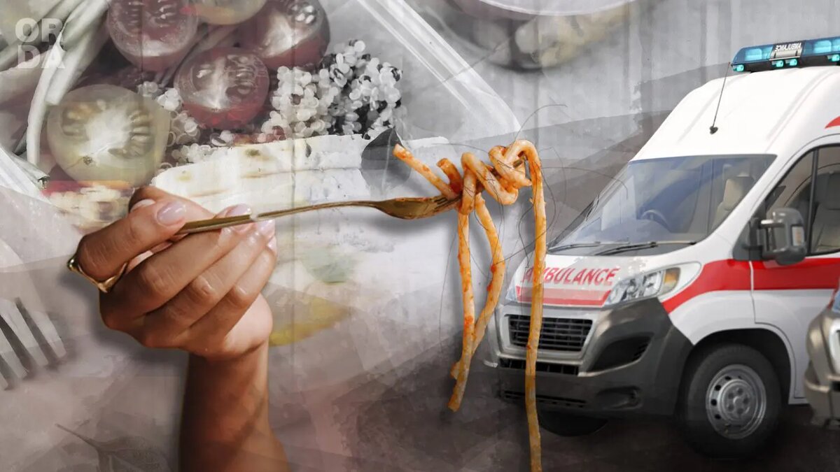 Коллаж Orda.kz