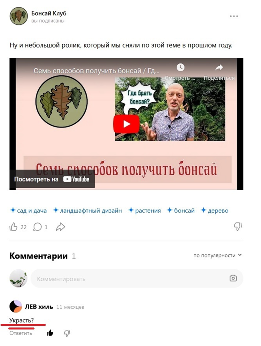Источник: https://dzen.ru/media/id/5d80cd7daad43600ad63f5bf/shest-sposobov-zavesti-sebe-bonsai-5d8789ce6f5f6f00ad7a55e8?&
