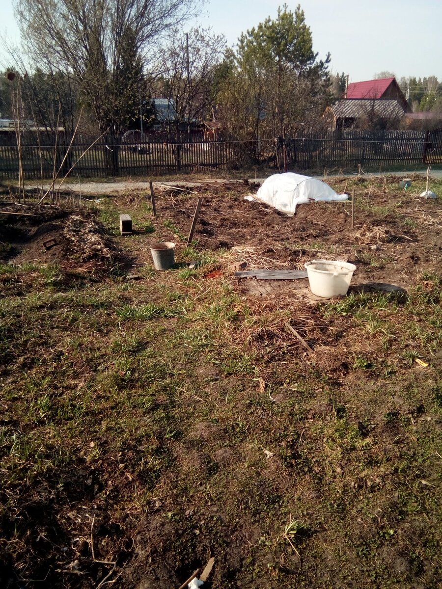 Огород копала я. А лужайку перед домом - не я!