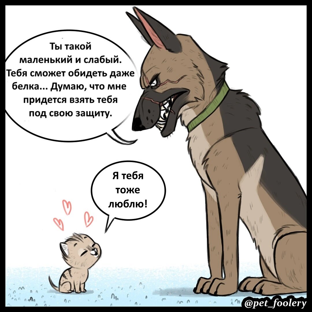 Комикс про котёнка Пикси и пса брута
