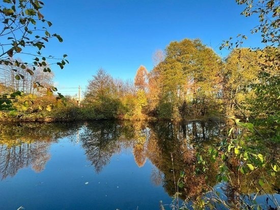     Фото из ТГ-канала администрации г. о. Серпухов