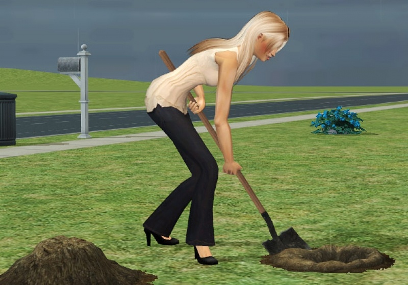 картинка яндекс