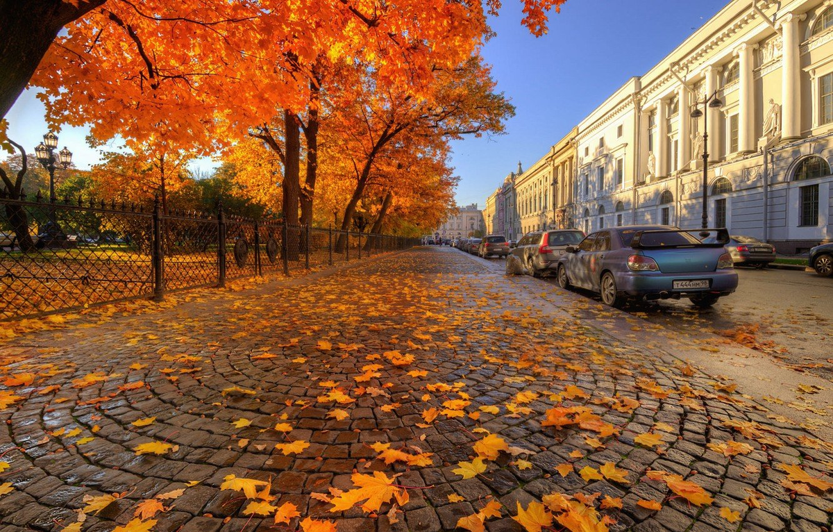 яндекс картинки