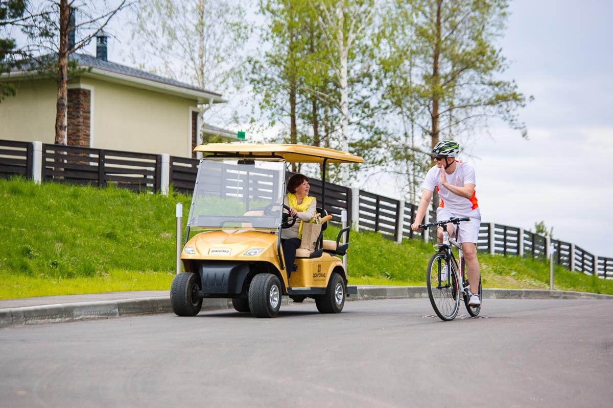 Фото с сайта https://33strausa.ru/