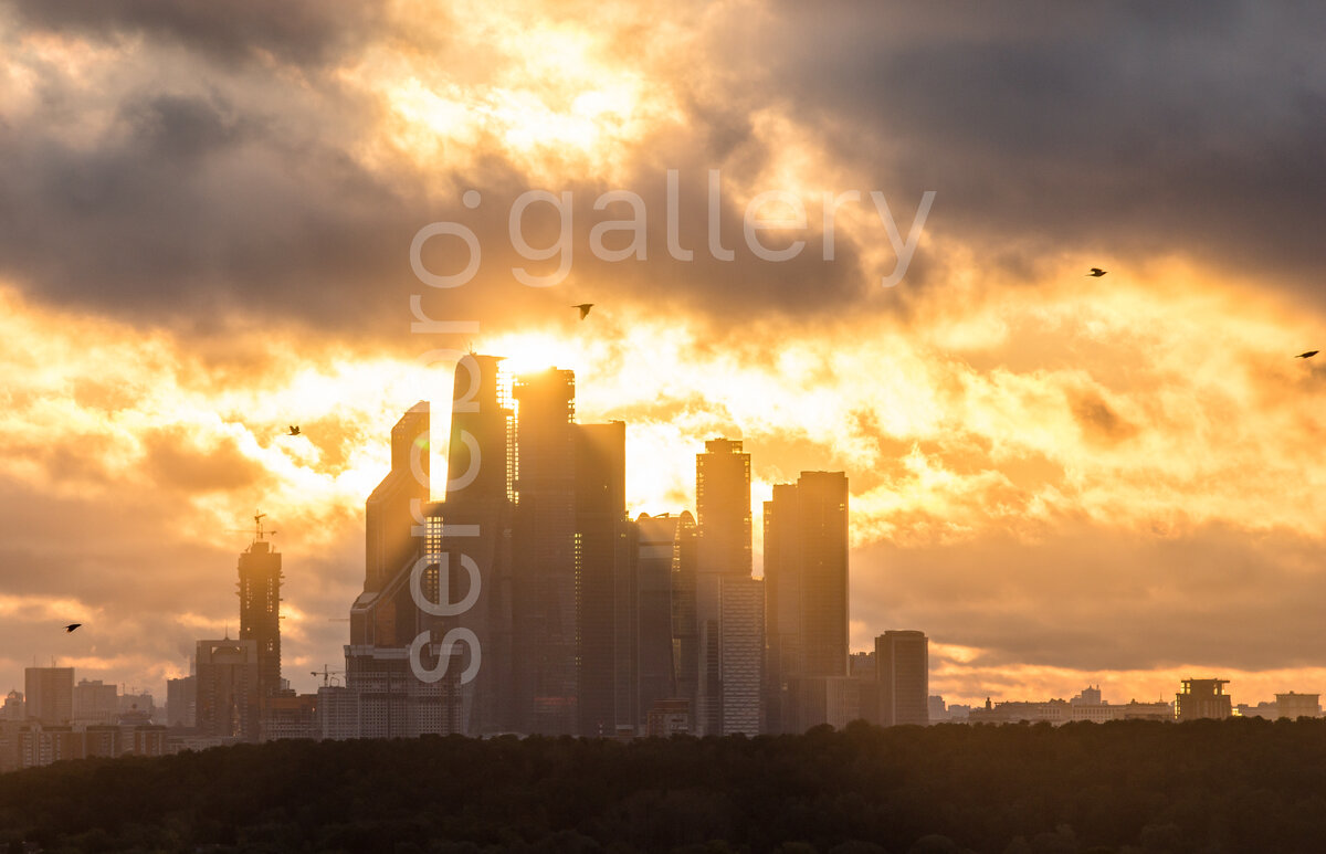 Гагик | @gag1k_live | «Небесная арка» | Фотовыставка «Так случайно получилось» 