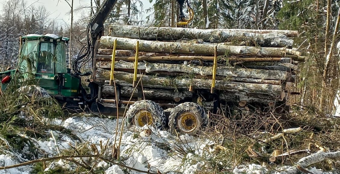    Архивное фото: Группа ВК «За сохранение Троицкого леса»